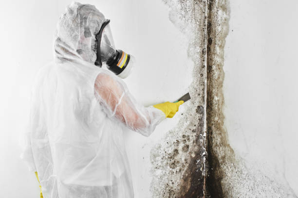 Water Damage Restoration in New London, IA
