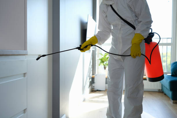 Best Office Mold Removal Services  in New London, IA
