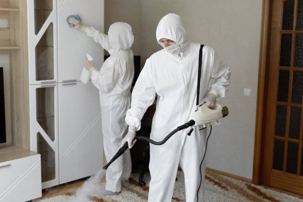 Best Emergency Mold Removal  in New London, IA