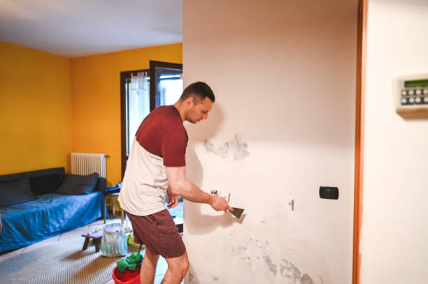 Best Mold Removal Near Me  in New London, IA